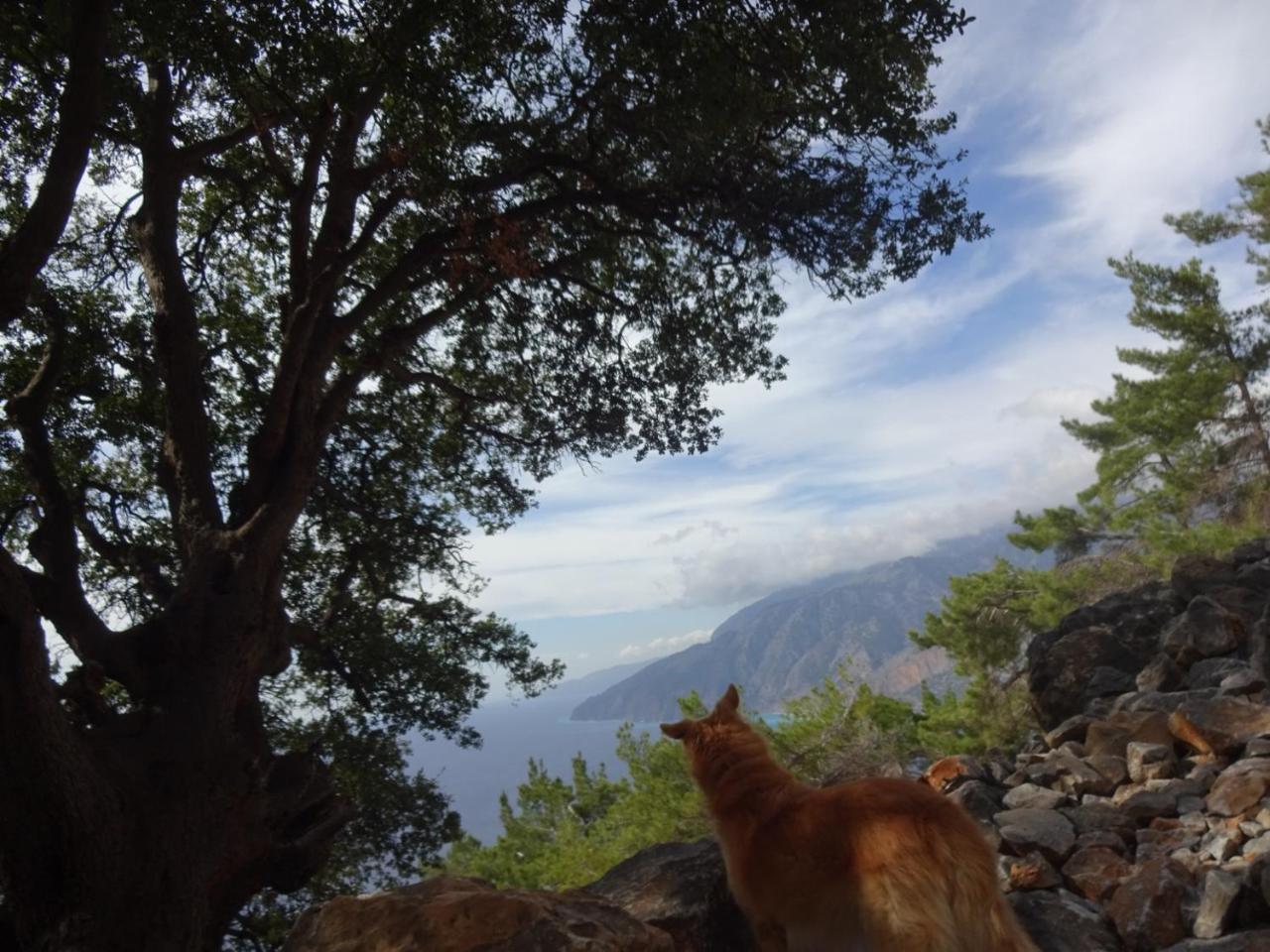 Gigilos Agia Roumeli Dış mekan fotoğraf